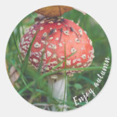 Fliegenpilz Runder Aufkleber (Vorderseite)