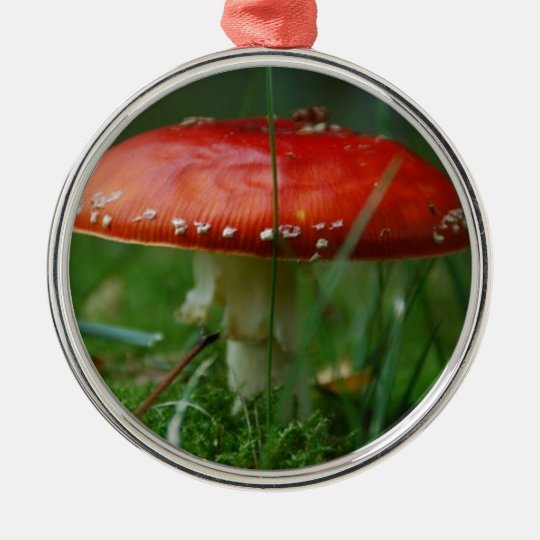 Fliegenpilz Rundes Silberfarbenes Ornament