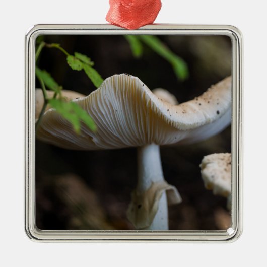 Fliegenpilz Schirm Ornament Aus Metall (Vorne)
