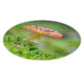 Fliegenpilz Schneidebrett (Ecke)