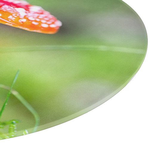 Fliegenpilz Schneidebrett (Ecke)