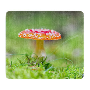 Fliegenpilz Schneidebrett