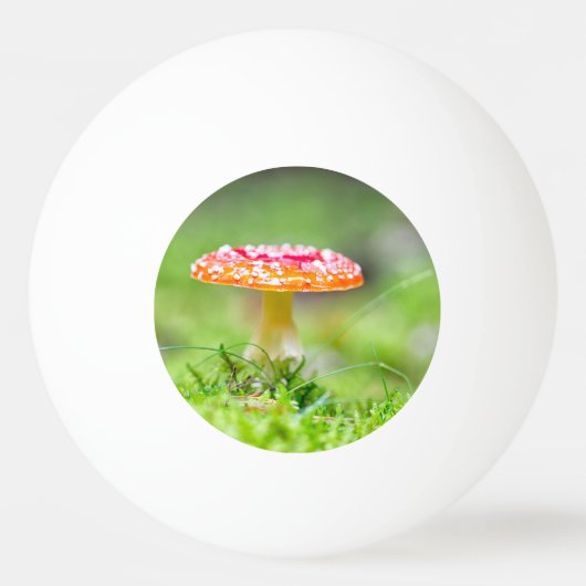 Fliegenpilz Tischtennisball (Rückseite)