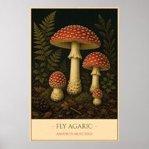 Fliegenpilz – Vintage Botanische Illustration Poster