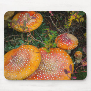 Fliegenpilze am Mowich Lake Mousepad