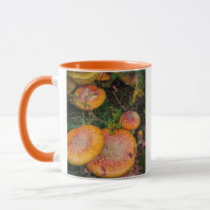 Fliegenpilze am Mowich Lake Tasse