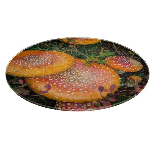 Fliegenpilze am Mowich-See Schneidebrett (Ecke)