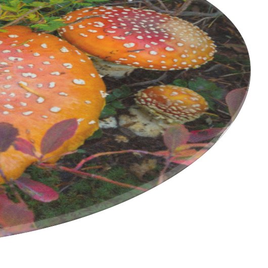 Fliegenpilze am Mowich-See Schneidebrett (Ecke)