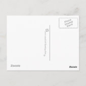 Fliegenpilze Postkarte (Rückseite)