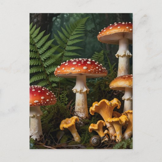 Fliegenpilze Wald Botanisch Postkarte (Vorderseite)