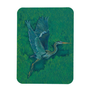 Fliegenreiher Magnet