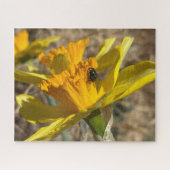 Fliegenruhen auf Nah-oben-Dickdarmfotos Puzzle (Horizontal)