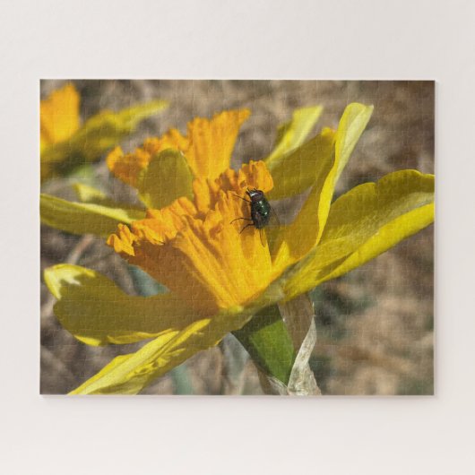 Fliegenruhen auf Nah-oben-Dickdarmfotos Puzzle (Horizontal)