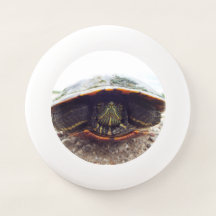 Fliegenschildkröte Frisbee