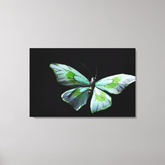 Fliegenschmetterling Leinwanddruck (Vorderseite)