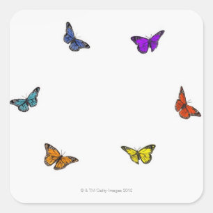 Fliegenschmetterlinge Quadratischer Aufkleber