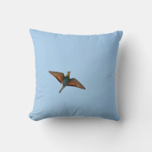 Fliegenschnäpper