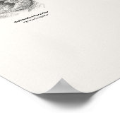 Fliegenschnäpper - Naturalist's Library Poster (Ecke)