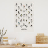 Fliegenschnäpper - Naturalist's Library Poster (Küche)