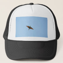 Fliegenschnäpper