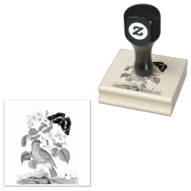 Fliegenschnäpper Vogel Schmetterling Vintage Scrap