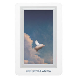 Fliegenschweinmagnet Magnet