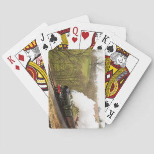 FliegenScotsman bei Goathland Spielkarten