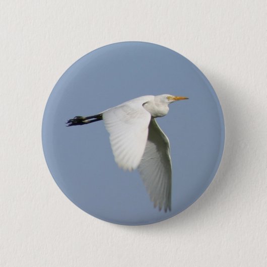 Fliegenstorch Button (Vorderseite)