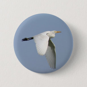 Fliegenstorch Button