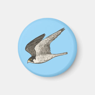 Flieger auf blau magnet