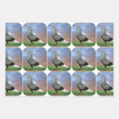 Fliegertaube und Wolken Geschenkpapier Set (Vorderseite 3)