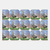 Fliegertaube und Wolken Geschenkpapier Set (Vorderseite)