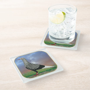 Fliegertaube und Wolken Glasuntersetzer