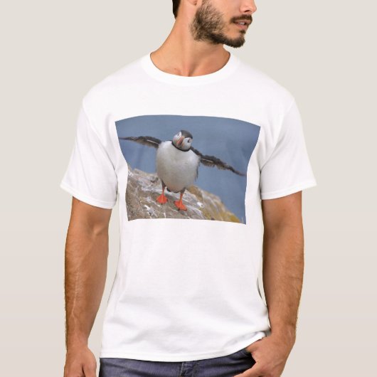 Fliegewegpuffin-T - Shirt (Vorderseite)
