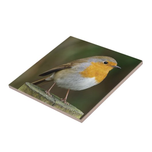 Fliese Robins Redbreast (Seite)