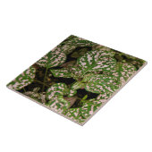 Fliese - rosa Polka-Punkt-Pflanze (Seite)