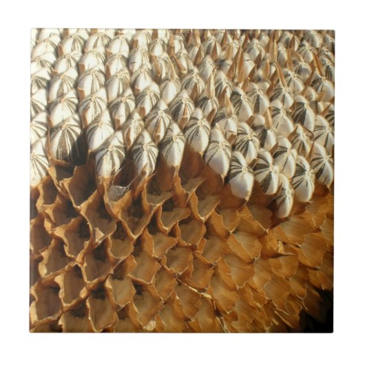 Fliese - Sonnenblumensamen (Vorderseite)