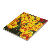 Fliesen Geschenkkunst Gelbe Tulip Blume Bläserne (Seite)