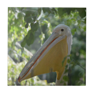 Fliesen mit lustigem Pelikan