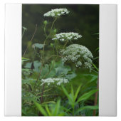 Fliesenschablone Fliese (Vorderseite)