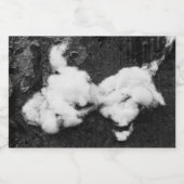 fließend lebensmitteletikett (Einzelnes Label)