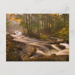 Fließende Bäche Appalachian Trail   Vermont Postkarte