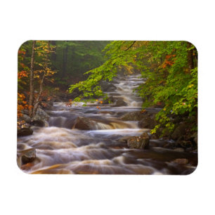 Fließende Bäche entlang des Appalachian Trail Magnet