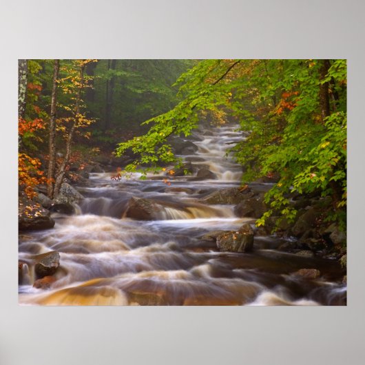Fließende Bäche entlang des Appalachian Trail Poster (Vorne)