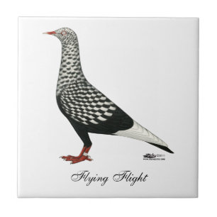 Flight Teager-Taube Fliese