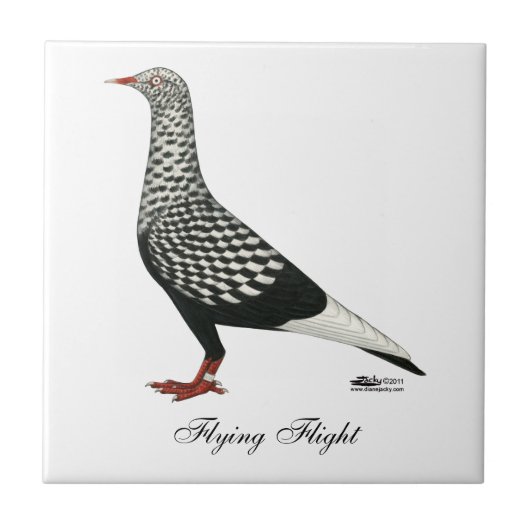 Flight Teager-Taube Fliese (Vorderseite)