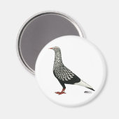 Flight Teager-Taube Magnet (Vorderseite/Rückseite)