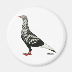 Flight Teager-Taube Magnet