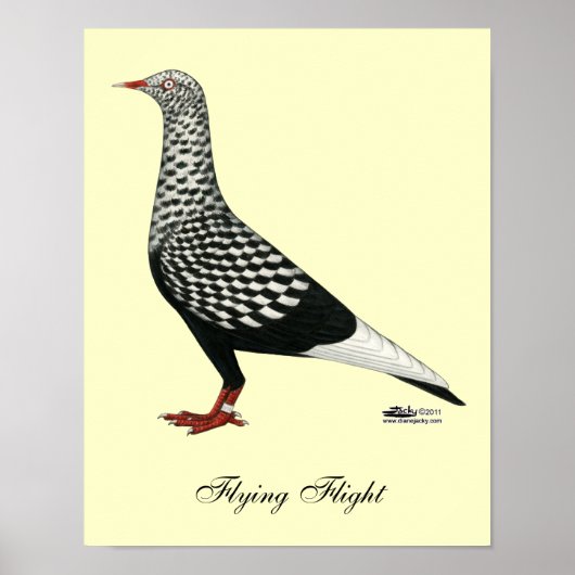 Flight Teager-Taube Poster (Vorne)