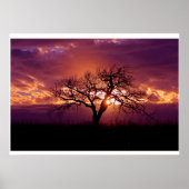Flint Hills Sunset Poster (Vorne)